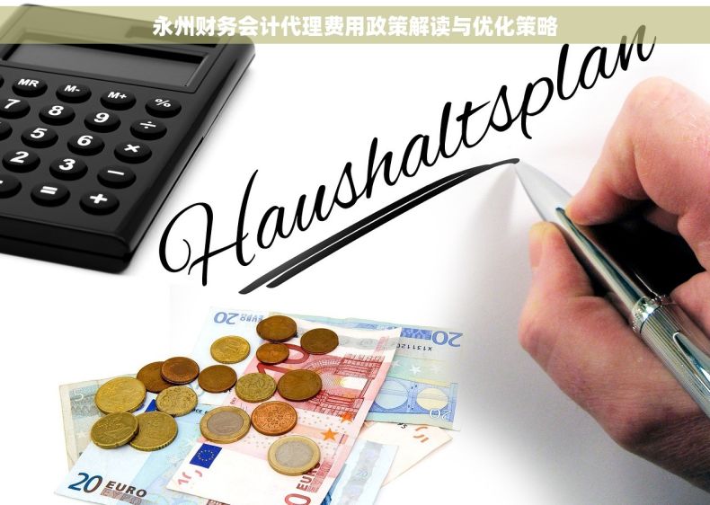 永州财务会计代理费用政策解读与优化策略
