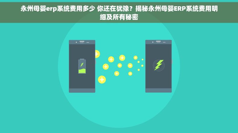永州母婴erp系统费用多少 你还在犹豫？揭秘永州母婴ERP系统费用明细及所有秘密