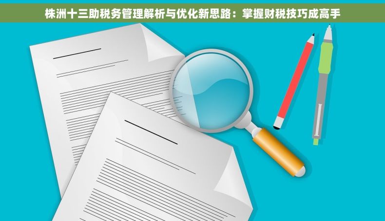 株洲十三助税务管理解析与优化新思路：掌握财税技巧成高手