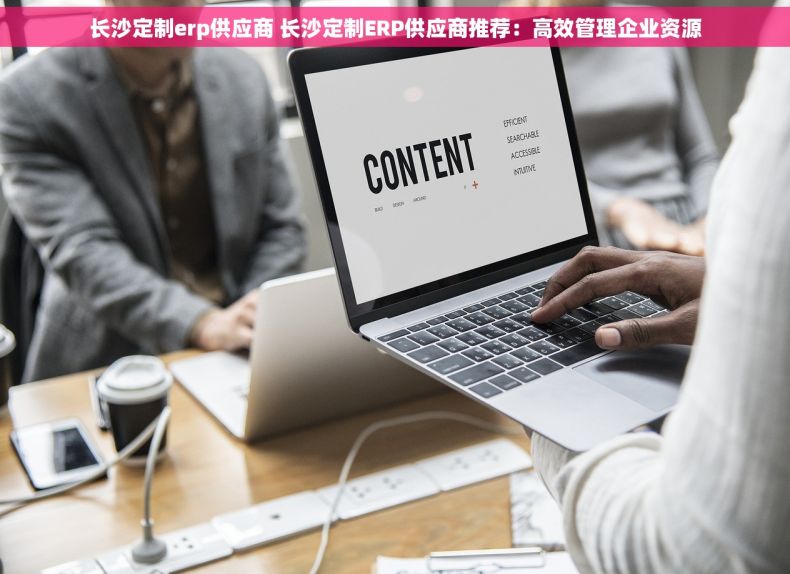 长沙定制erp供应商 长沙定制ERP供应商推荐：高效管理企业资源