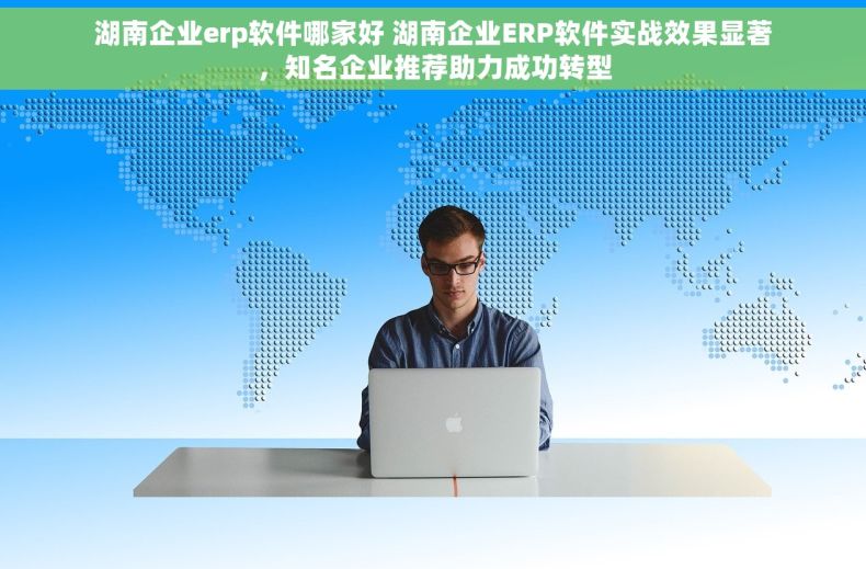 湖南企业erp软件哪家好 湖南企业ERP软件实战效果显著，知名企业推荐助力成功转型