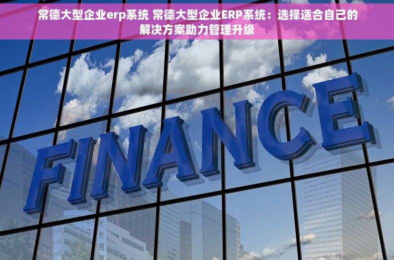 常德大型企业erp系统 常德大型企业ERP系统：选择适合自己的解决方案助力管理升级