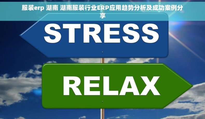 服装erp 湖南 湖南服装行业ERP应用趋势分析及成功案例分享