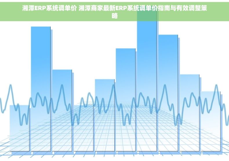 湘潭ERP系统调单价 湘潭商家最新ERP系统调单价指南与有效调整策略