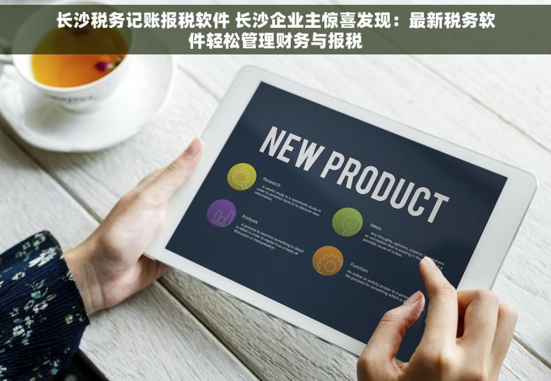 长沙税务记账报税软件 长沙企业主惊喜发现：最新税务软件轻松管理财务与报税