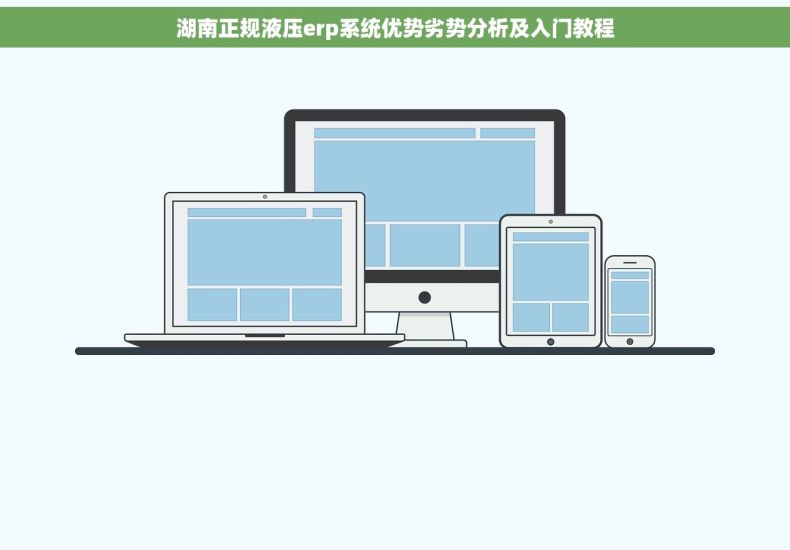 湖南正规液压erp系统优势劣势分析及入门教程