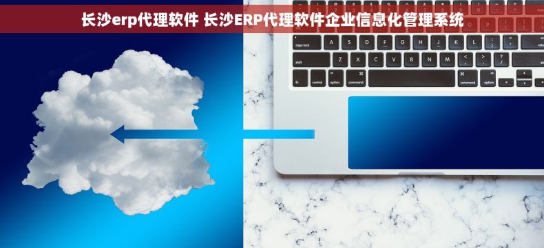 长沙erp代理软件 长沙ERP代理软件企业信息化管理系统