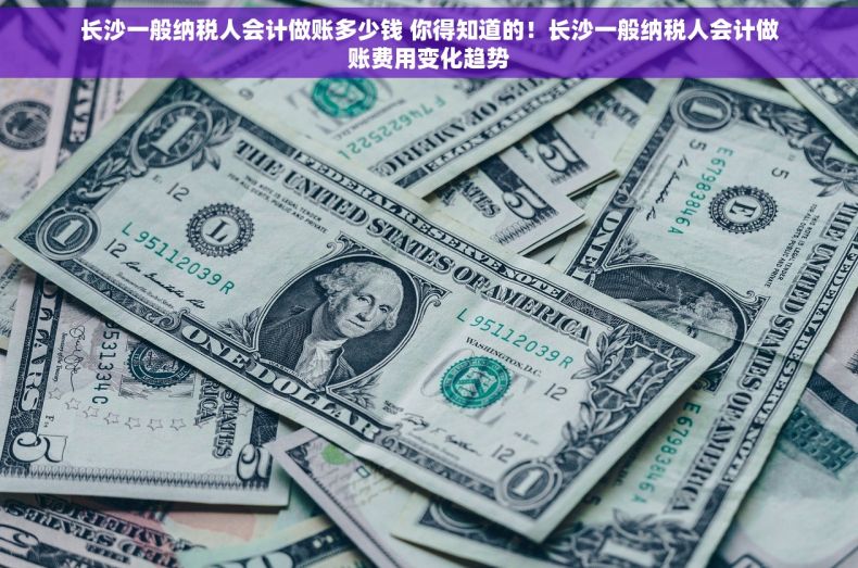 长沙一般纳税人会计做账多少钱 你得知道的！长沙一般纳税人会计做账费用变化趋势