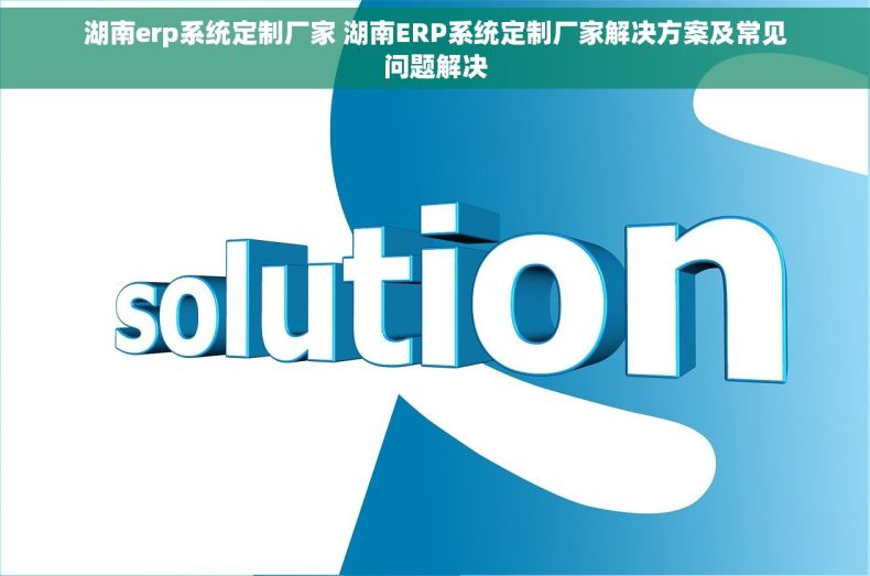 湖南erp系统定制厂家 湖南ERP系统定制厂家解决方案及常见问题解决