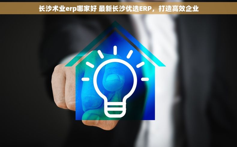 长沙术业erp哪家好 最新长沙优选ERP，打造高效企业