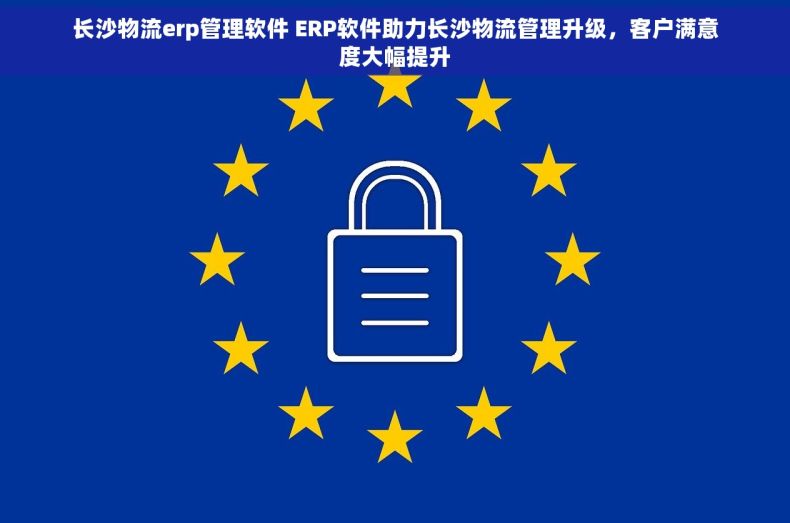 长沙物流erp管理软件 ERP软件助力长沙物流管理升级，客户满意度大幅提升