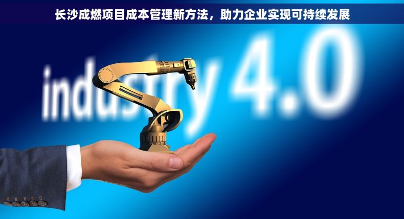长沙成燃项目成本管理新方法，助力企业实现可持续发展