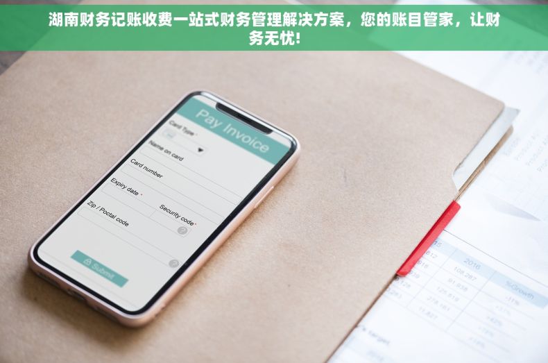 湖南财务记账收费一站式财务管理解决方案，您的账目管家，让财务无忧!