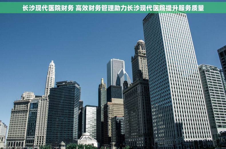 长沙现代医院财务 高效财务管理助力长沙现代医院提升服务质量