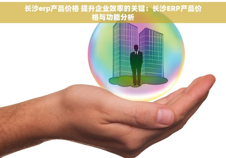 长沙erp产品价格 提升企业效率的关键：长沙ERP产品价格与功能分析