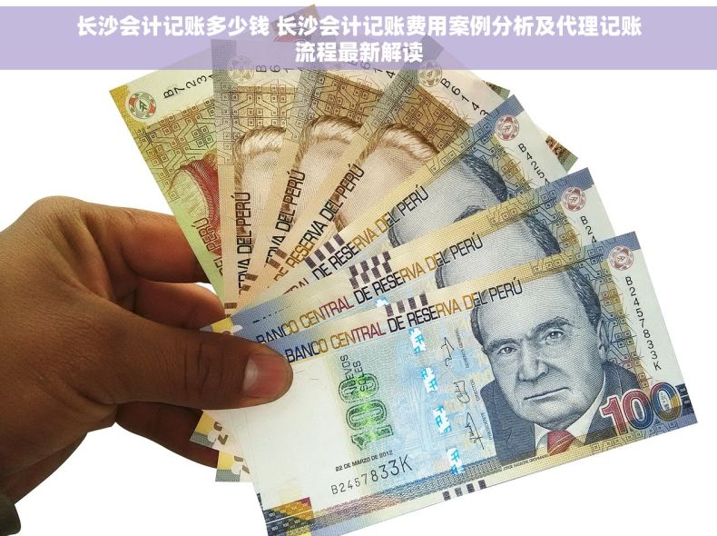 长沙会计记账多少钱 长沙会计记账费用案例分析及代理记账流程最新解读