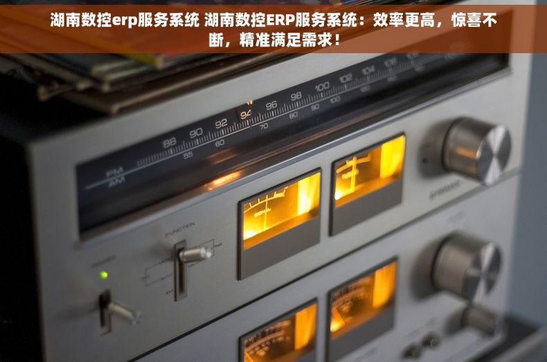 湖南数控erp服务系统 湖南数控ERP服务系统：效率更高，惊喜不断，精准满足需求！