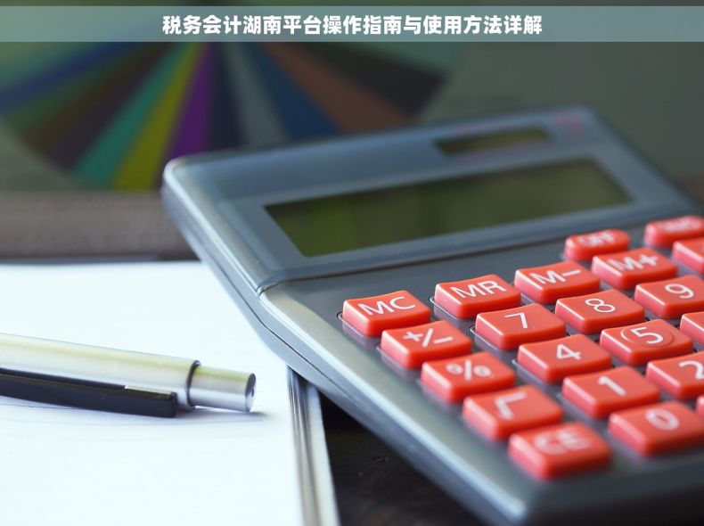 税务会计湖南平台操作指南与使用方法详解