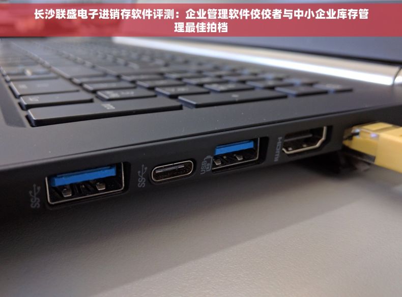 长沙联盛电子进销存软件评测：企业管理软件佼佼者与中小企业库存管理最佳拍档