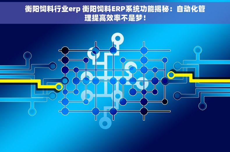 衡阳饲料行业erp 衡阳饲料ERP系统功能揭秘：自动化管理提高效率不是梦！