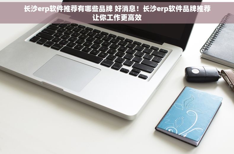 长沙erp软件推荐有哪些品牌 好消息！长沙erp软件品牌推荐让你工作更高效