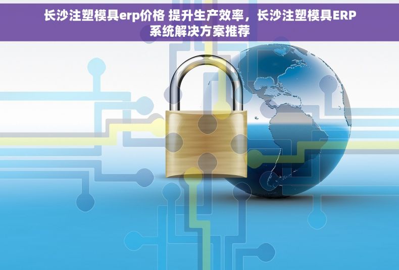 长沙注塑模具erp价格 提升生产效率，长沙注塑模具ERP系统解决方案推荐