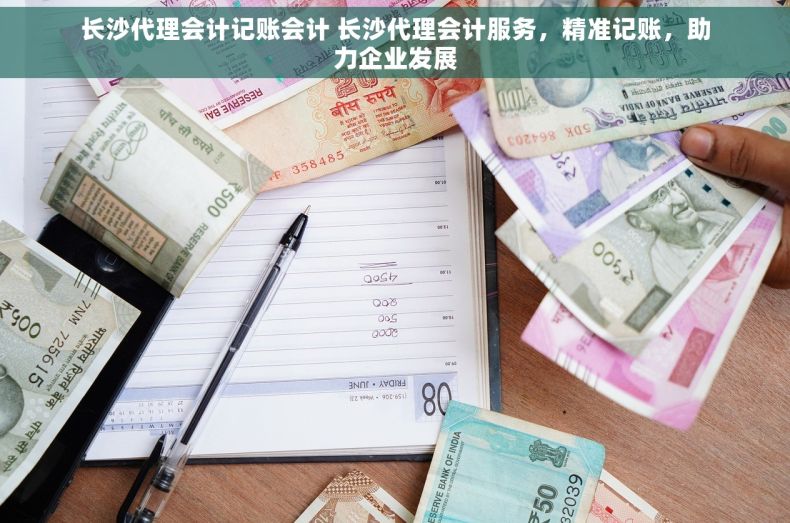 长沙代理会计记账会计 长沙代理会计服务，精准记账，助力企业发展