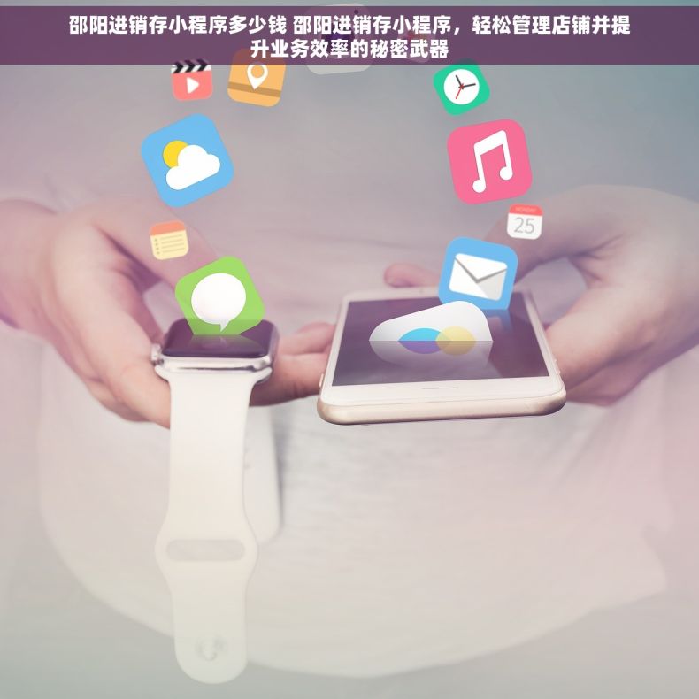 邵阳进销存小程序多少钱 邵阳进销存小程序，轻松管理店铺并提升业务效率的秘密武器