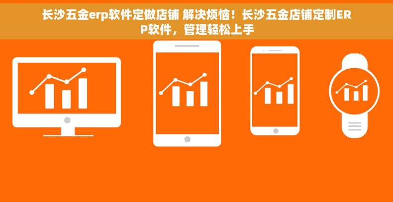 长沙五金erp软件定做店铺 解决烦恼！长沙五金店铺定制ERP软件，管理轻松上手