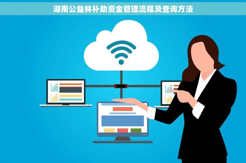 湖南公益林补助资金管理流程及查询方法