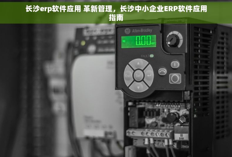 长沙erp软件应用 革新管理，长沙中小企业ERP软件应用指南