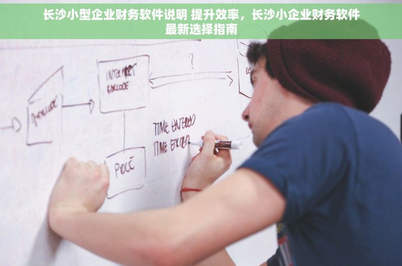 长沙小型企业财务软件说明 提升效率，长沙小企业财务软件最新选择指南