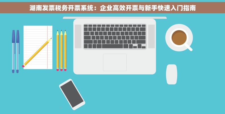湖南发票税务开票系统：企业高效开票与新手快速入门指南