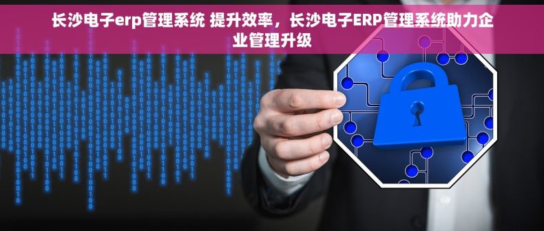 长沙电子erp管理系统 提升效率，长沙电子ERP管理系统助力企业管理升级