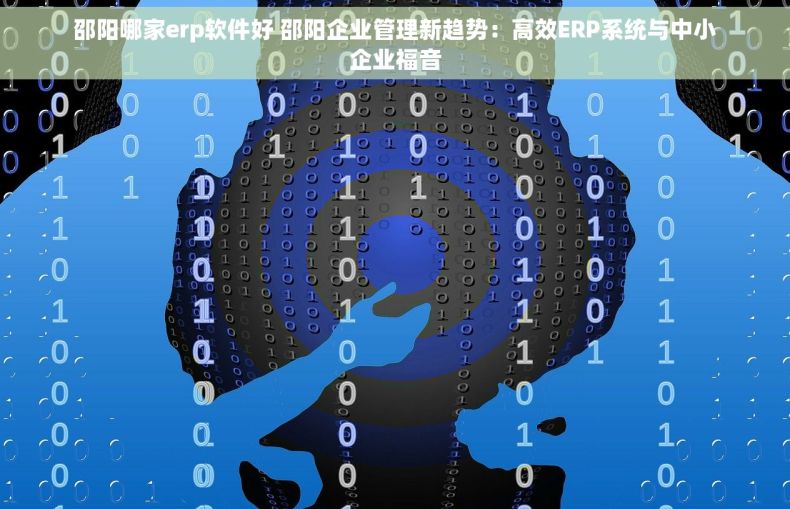 邵阳哪家erp软件好 邵阳企业管理新趋势：高效ERP系统与中小企业福音