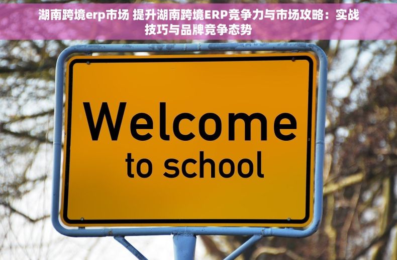湖南跨境erp市场 提升湖南跨境ERP竞争力与市场攻略：实战技巧与品牌竞争态势