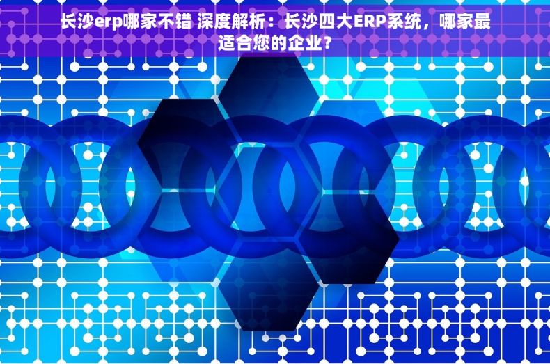 长沙erp哪家不错 深度解析：长沙四大ERP系统，哪家最适合您的企业？