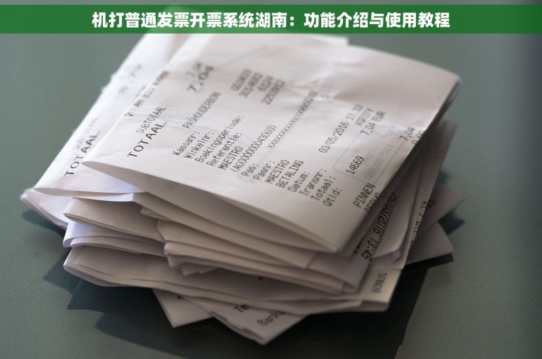 机打普通发票开票系统湖南：功能介绍与使用教程