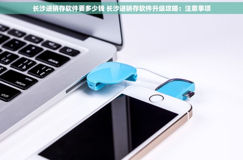 长沙进销存软件要多少钱 长沙进销存软件升级攻略：注意事项