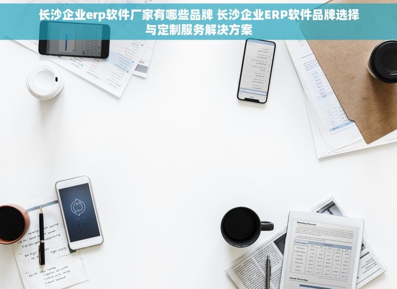 长沙企业erp软件厂家有哪些品牌 长沙企业ERP软件品牌选择与定制服务解决方案