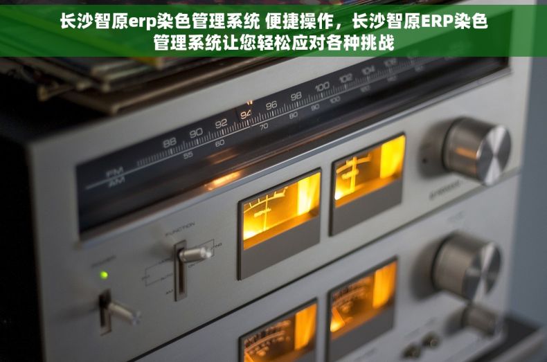 长沙智原erp染色管理系统 便捷操作，长沙智原ERP染色管理系统让您轻松应对各种挑战