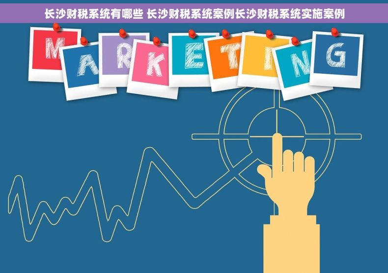 长沙财税系统有哪些 长沙财税系统案例长沙财税系统实施案例