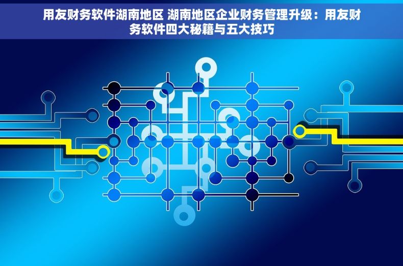 用友财务软件湖南地区 湖南地区企业财务管理升级：用友财务软件四大秘籍与五大技巧