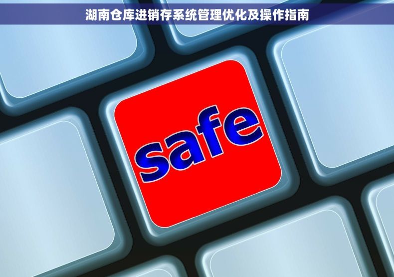 湖南仓库进销存系统管理优化及操作指南