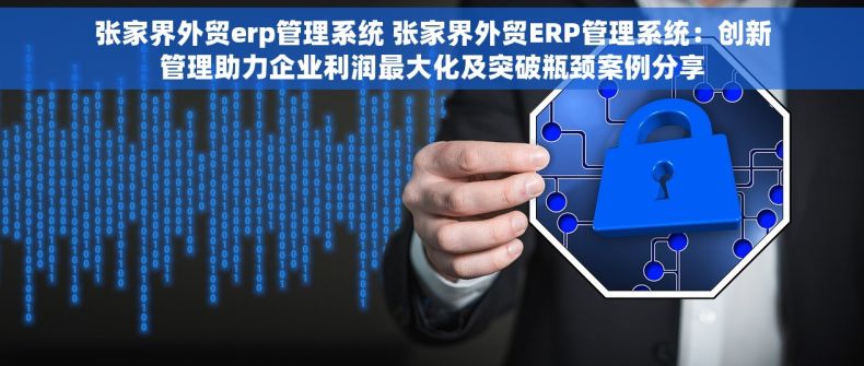 张家界外贸erp管理系统 张家界外贸ERP管理系统：创新管理助力企业利润最大化及突破瓶颈案例分享