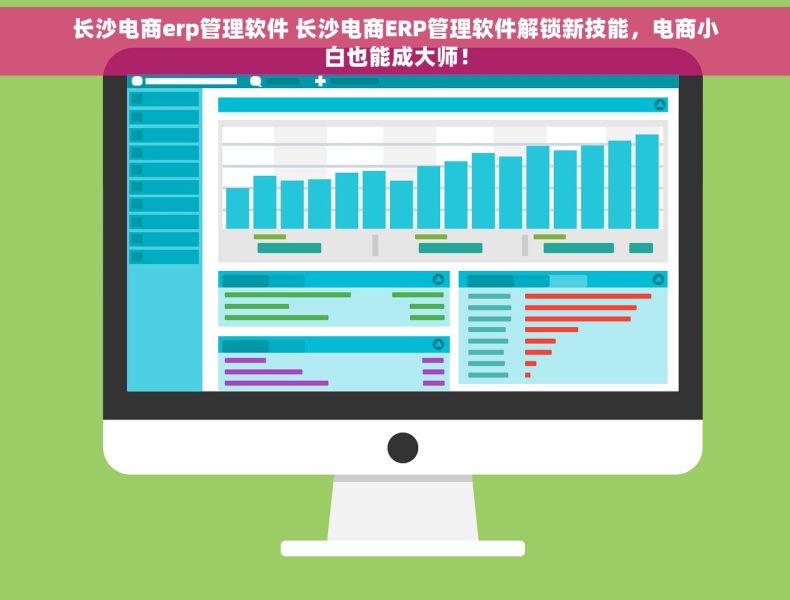 长沙电商erp管理软件 长沙电商ERP管理软件解锁新技能，电商小白也能成大师！