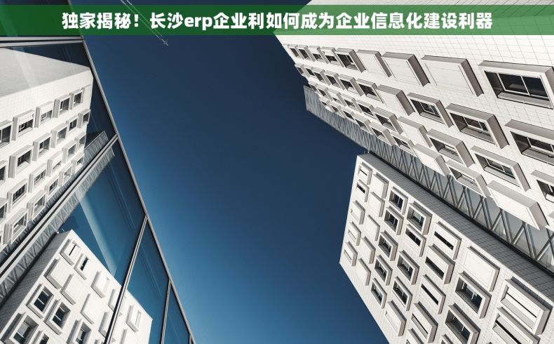 独家揭秘！长沙erp企业利如何成为企业信息化建设利器