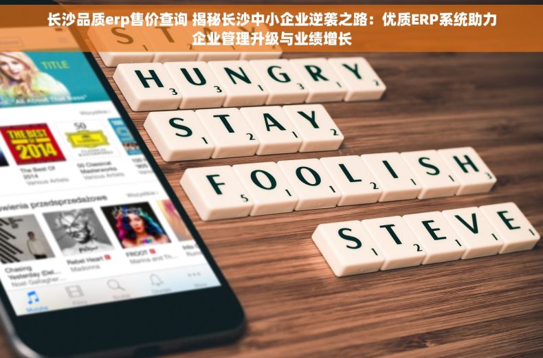 长沙品质erp售价查询 揭秘长沙中小企业逆袭之路：优质ERP系统助力企业管理升级与业绩增长