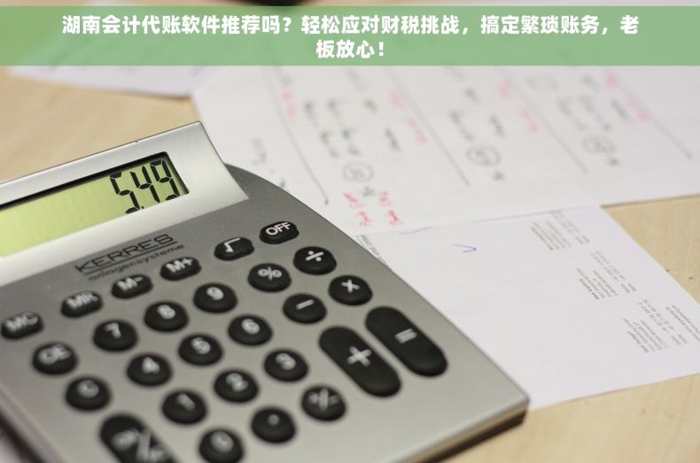 湖南会计代账软件推荐吗？轻松应对财税挑战，搞定繁琐账务，老板放心！