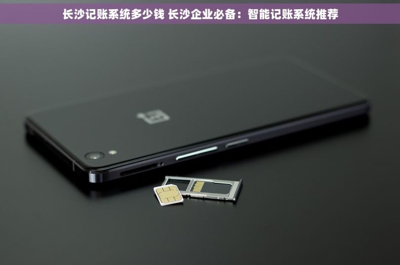 长沙记账系统多少钱 长沙企业必备：智能记账系统推荐